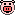 pig